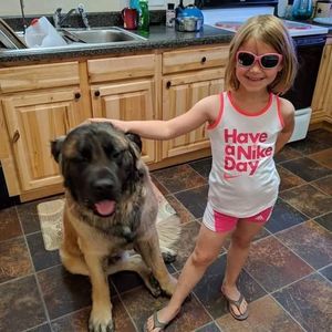 Meet your Posher, Amber